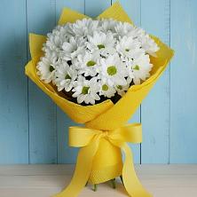Букет цветов из:  Хризантемы в Новомичуринске