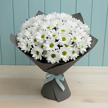 Букет цветов из:  Хризантемы в Новомичуринске