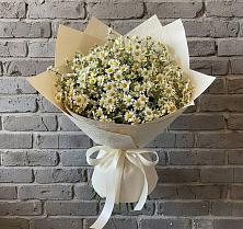 Букет цветов из:  Ромашки в Новомичуринске