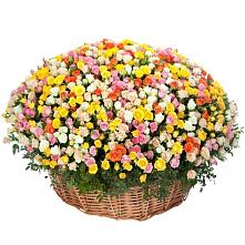 Премиум букет из: Розы #REPLACE_PRED# Новомичуринске