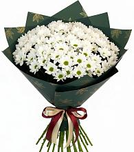 Букет цветов из:  Хризантемы #REPLACE_PRED# Новомичуринске