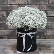Цветочная композиция из Гипсофила в шляпной коробке в Новомичуринске