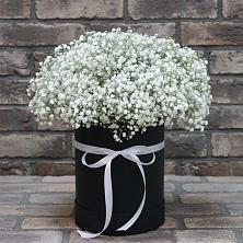 Цветочная композиция из Гипсофила в шляпной коробке в Новомичуринске