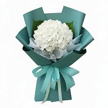 Букет цветов из:  Гортензия #REPLACE_PRED# Новомичуринске